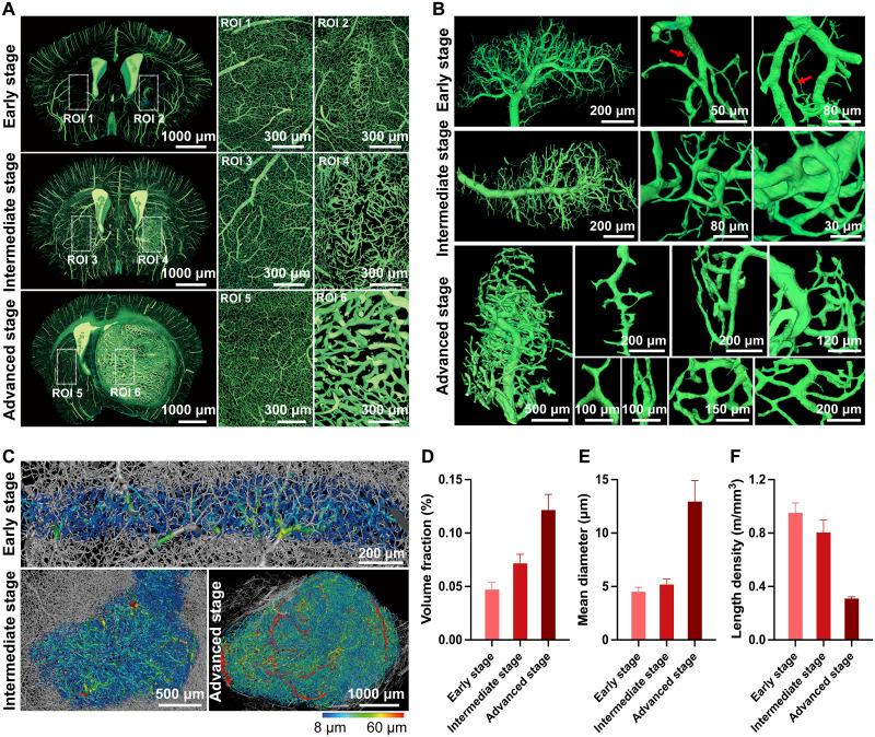 https://cdn.ncbi.nlm.nih.gov/pmc/blobs/cceb/12285729/600185f8caba/sciadv.adw8330-f2.jpg