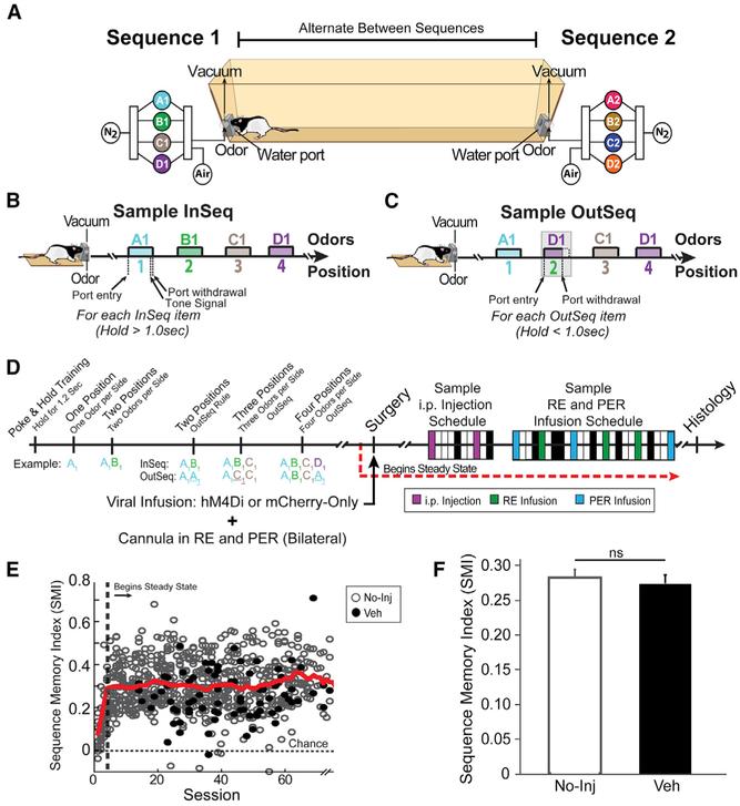 https://cdn.ncbi.nlm.nih.gov/pmc/blobs/cceb/6662648/2fb7bd76e982/nihms-1534954-f0003.jpg