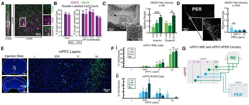 https://cdn.ncbi.nlm.nih.gov/pmc/blobs/cceb/6662648/bbf56392c892/nihms-1534954-f0002.jpg