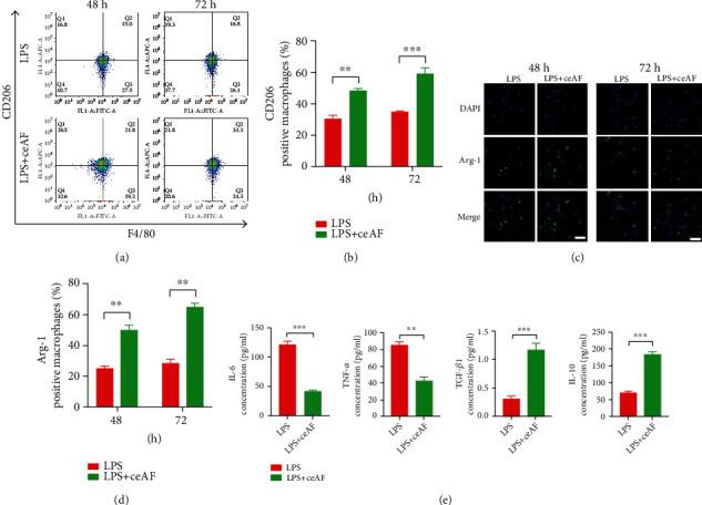 https://cdn.ncbi.nlm.nih.gov/pmc/blobs/ccee/10098416/46db62aaa971/JDR2023-2422303.002.jpg