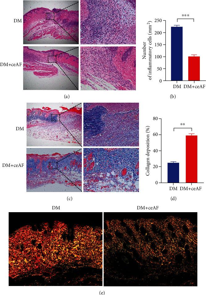 https://cdn.ncbi.nlm.nih.gov/pmc/blobs/ccee/10098416/62a6b17e0c0d/JDR2023-2422303.004.jpg