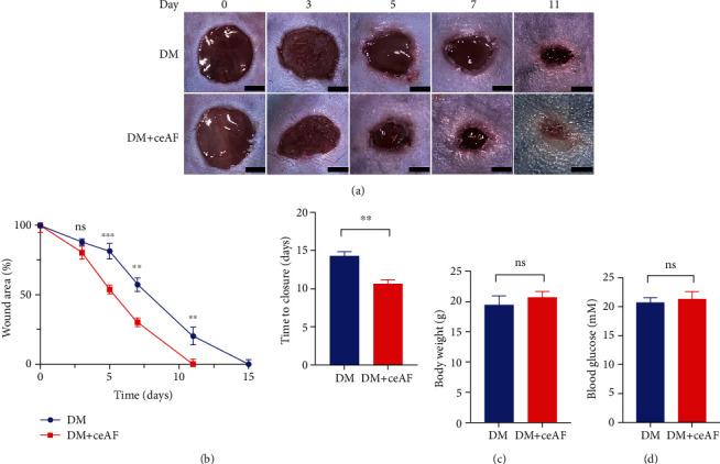 https://cdn.ncbi.nlm.nih.gov/pmc/blobs/ccee/10098416/7f16c19097f1/JDR2023-2422303.003.jpg