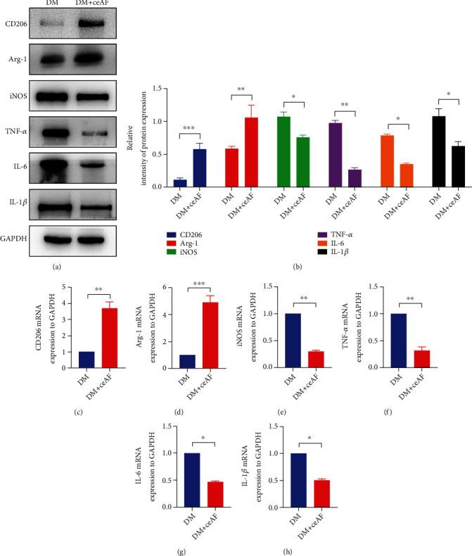 https://cdn.ncbi.nlm.nih.gov/pmc/blobs/ccee/10098416/fe330b8a677f/JDR2023-2422303.006.jpg