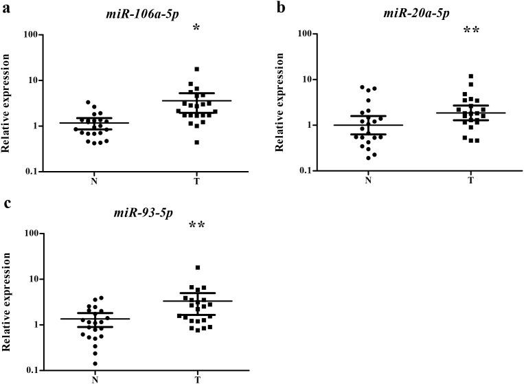 https://cdn.ncbi.nlm.nih.gov/pmc/blobs/ccee/5689734/6f971c9c03f8/oncotarget-08-86897-g004.jpg
