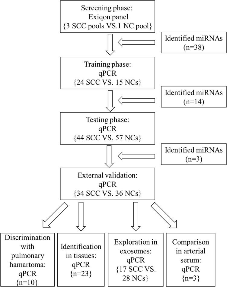 https://cdn.ncbi.nlm.nih.gov/pmc/blobs/ccee/5689734/77795ca8a1a2/oncotarget-08-86897-g001.jpg