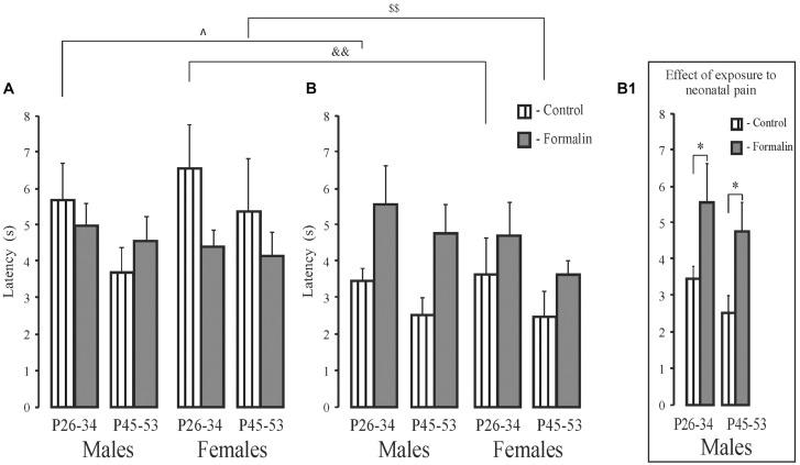 https://cdn.ncbi.nlm.nih.gov/pmc/blobs/ccef/8334561/50f03f874c20/fnbeh-15-691578-g004.jpg