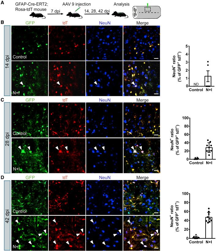 https://cdn.ncbi.nlm.nih.gov/pmc/blobs/ccf4/8282467/3e3056ddfe11/gr4.jpg