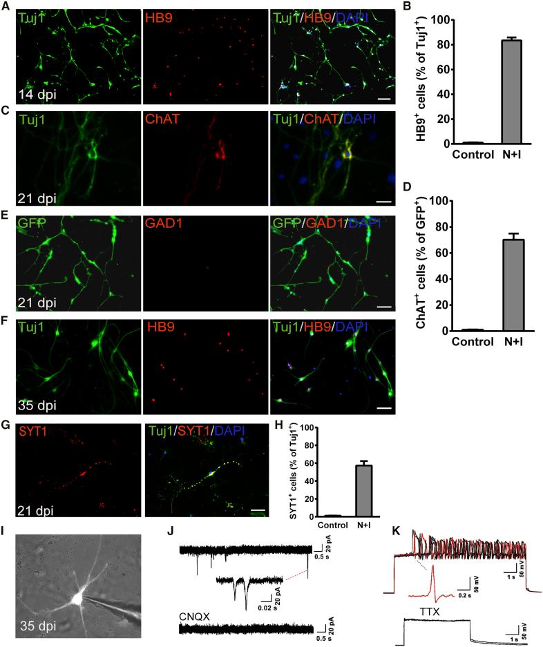 https://cdn.ncbi.nlm.nih.gov/pmc/blobs/ccf4/8282467/9b501ba6925e/gr2.jpg
