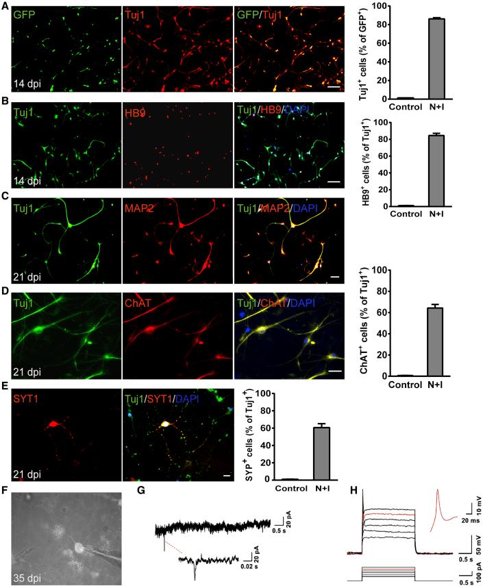 https://cdn.ncbi.nlm.nih.gov/pmc/blobs/ccf4/8282467/afb7c8968e62/gr3.jpg