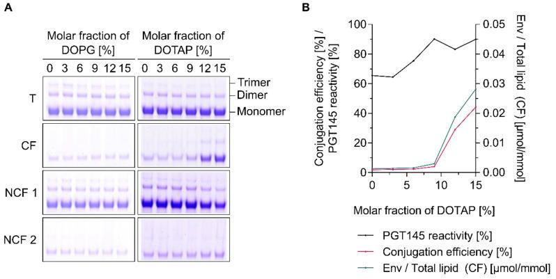 https://cdn.ncbi.nlm.nih.gov/pmc/blobs/ccf6/7589475/20dd669408d8/pharmaceutics-12-00979-g005.jpg