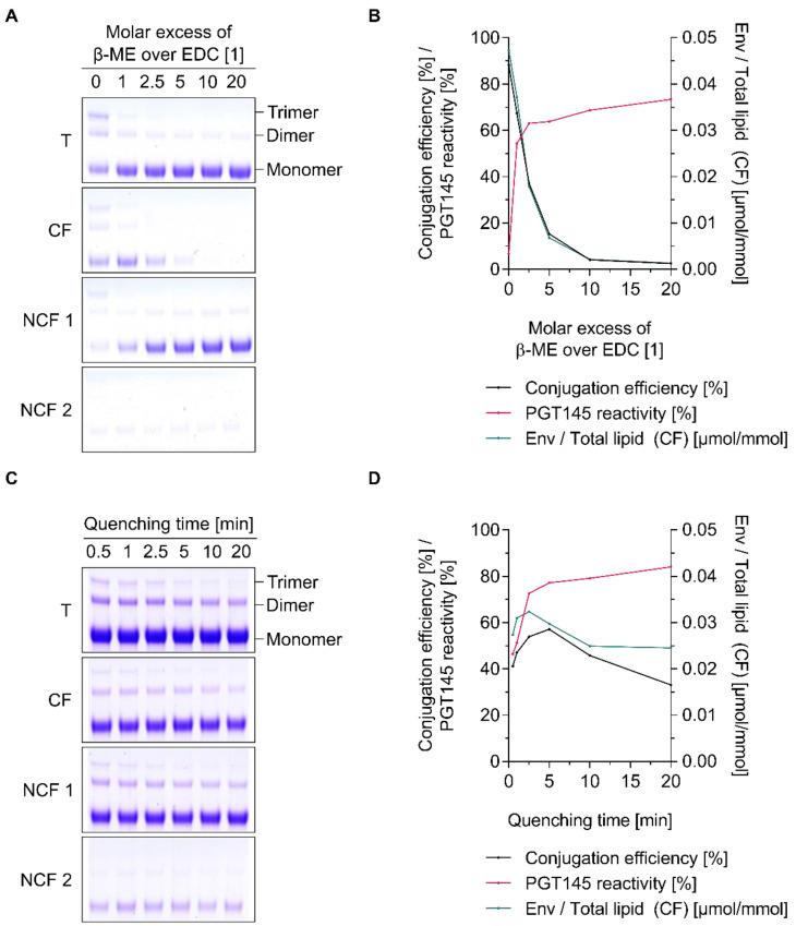 https://cdn.ncbi.nlm.nih.gov/pmc/blobs/ccf6/7589475/56e66de0a8cc/pharmaceutics-12-00979-g003.jpg