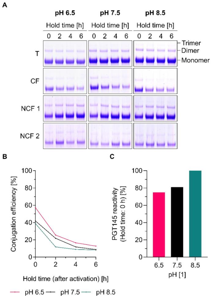 https://cdn.ncbi.nlm.nih.gov/pmc/blobs/ccf6/7589475/c24132c7308e/pharmaceutics-12-00979-g002.jpg