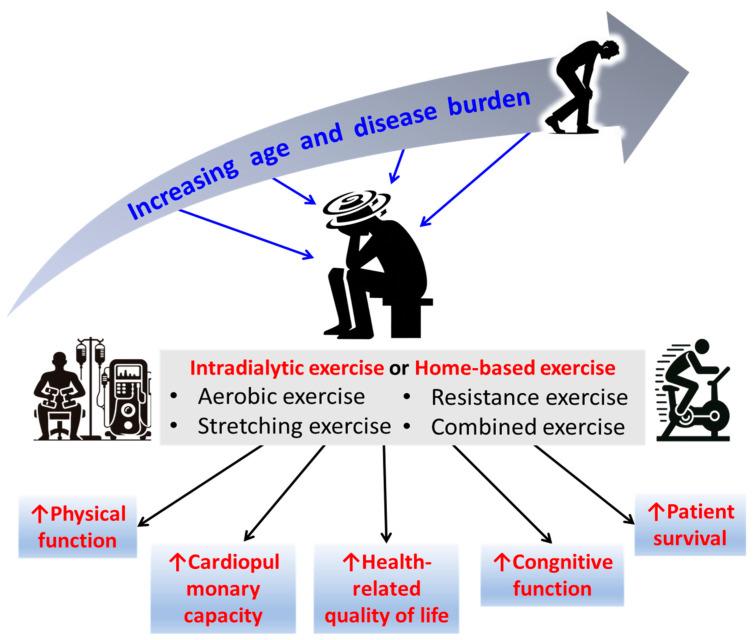 https://cdn.ncbi.nlm.nih.gov/pmc/blobs/ccf8/11504674/709e042cc664/biomedicines-12-02364-g001.jpg