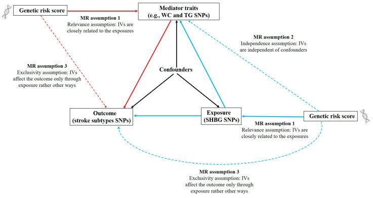 https://cdn.ncbi.nlm.nih.gov/pmc/blobs/ccf8/12293703/acbab4813d41/cimb-47-00494-g001.jpg