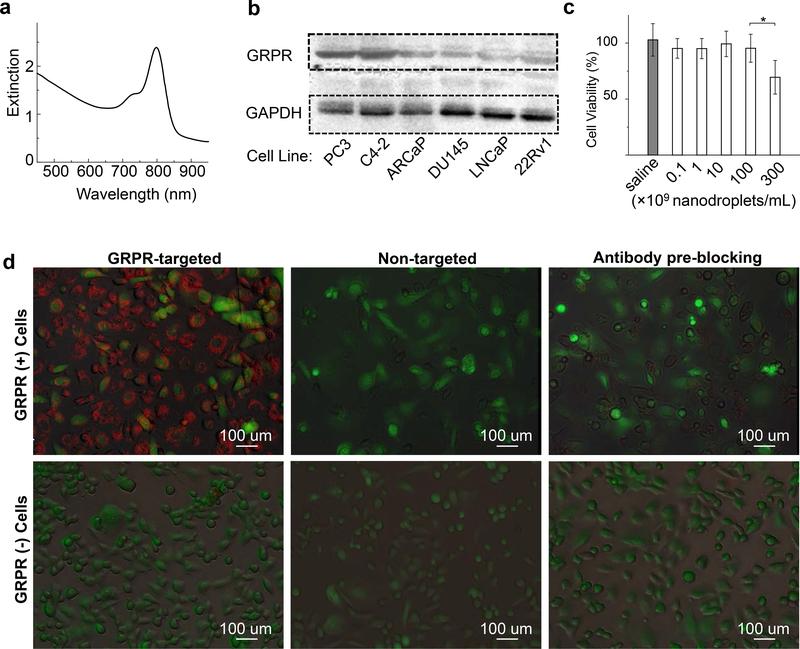 https://cdn.ncbi.nlm.nih.gov/pmc/blobs/ccfa/8454903/b785c5f1ecc3/nihms-1668078-f0004.jpg