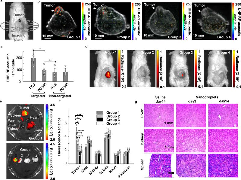 https://cdn.ncbi.nlm.nih.gov/pmc/blobs/ccfa/8454903/bd6e7061d0d6/nihms-1668078-f0005.jpg