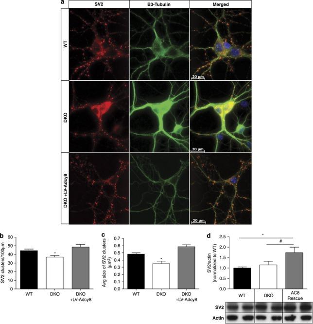 https://cdn.ncbi.nlm.nih.gov/pmc/blobs/ccfb/3365269/b55e47621b46/tp201250f1.jpg