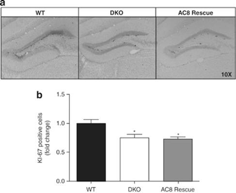 https://cdn.ncbi.nlm.nih.gov/pmc/blobs/ccfb/3365269/d43da70ac105/tp201250f3.jpg