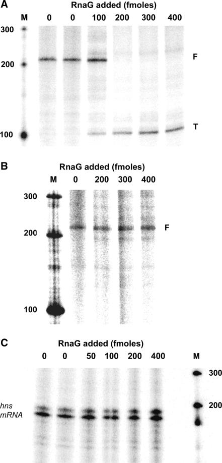 https://cdn.ncbi.nlm.nih.gov/pmc/blobs/ccfe/2879508/37b79067780c/gkq025f3.jpg