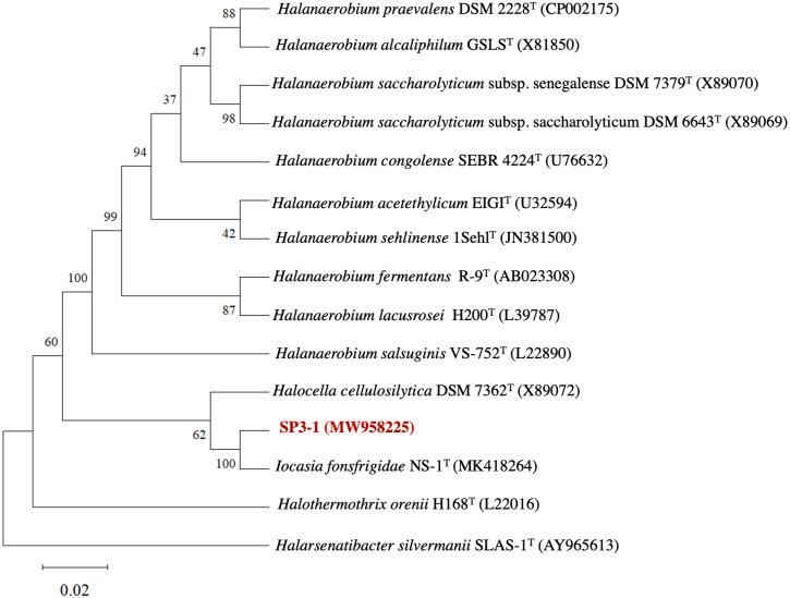 https://cdn.ncbi.nlm.nih.gov/pmc/blobs/cd02/9587714/53d59231a662/peerj-10-14211-g001.jpg
