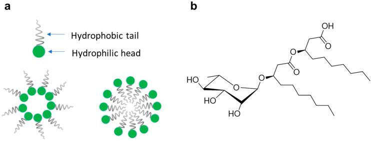 https://cdn.ncbi.nlm.nih.gov/pmc/blobs/cd02/9958974/2aab54b0ab0c/pharmaceutics-15-00700-g001.jpg