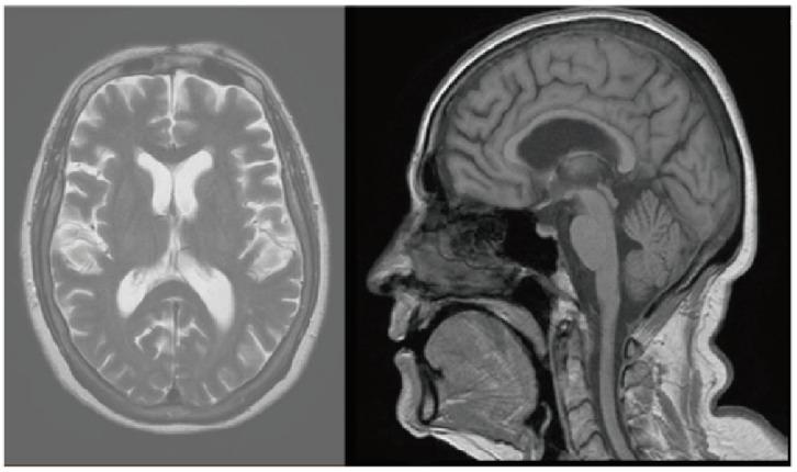 https://cdn.ncbi.nlm.nih.gov/pmc/blobs/cd03/10455121/9435df90ea33/life-13-01657-g001.jpg
