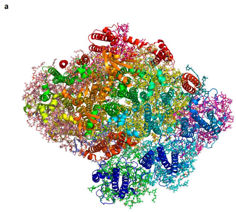 https://cdn.ncbi.nlm.nih.gov/pmc/blobs/cd03/11121529/004317e401f9/ijms-25-05073-g004a.jpg