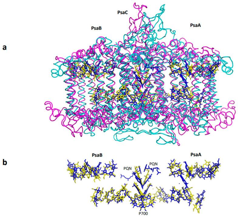 https://cdn.ncbi.nlm.nih.gov/pmc/blobs/cd03/11121529/1751b7ef6363/ijms-25-05073-g001.jpg