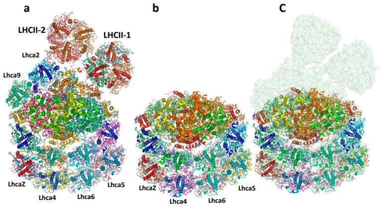 https://cdn.ncbi.nlm.nih.gov/pmc/blobs/cd03/11121529/56df5c32c435/ijms-25-05073-g006.jpg