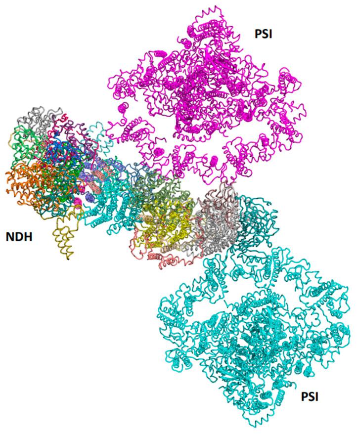https://cdn.ncbi.nlm.nih.gov/pmc/blobs/cd03/11121529/8511c3e4da0a/ijms-25-05073-g008.jpg