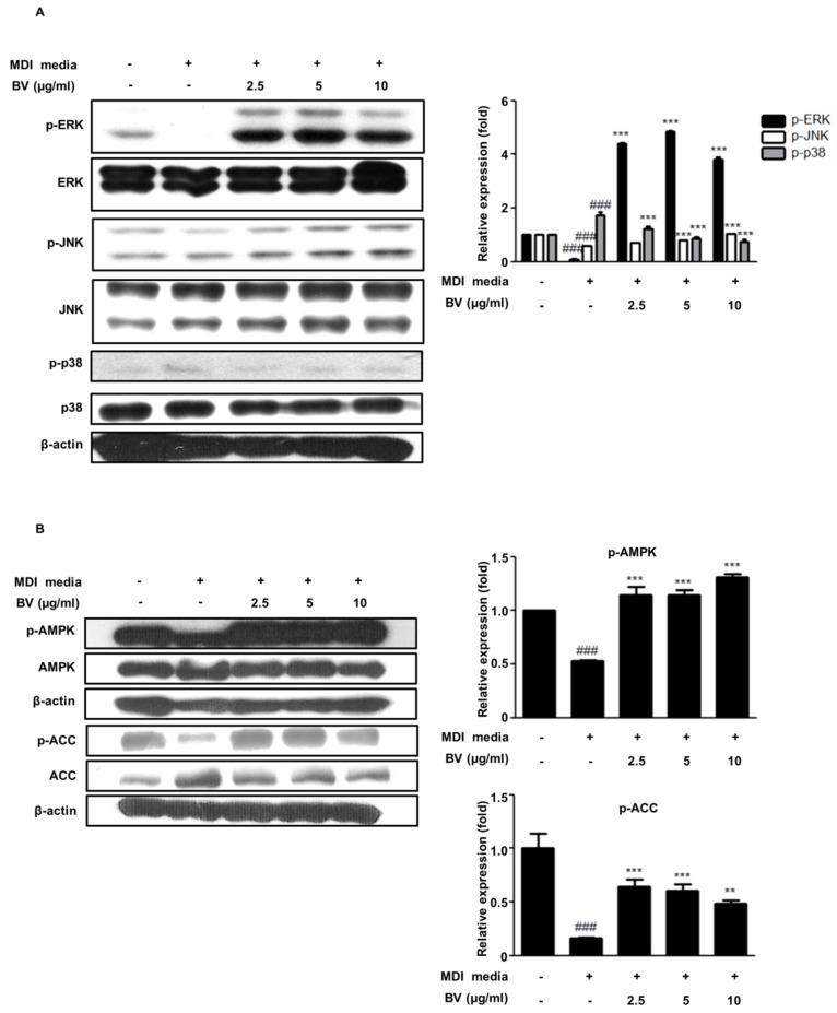 https://cdn.ncbi.nlm.nih.gov/pmc/blobs/cd03/5793096/dc82a4945a42/toxins-10-00009-g003.jpg