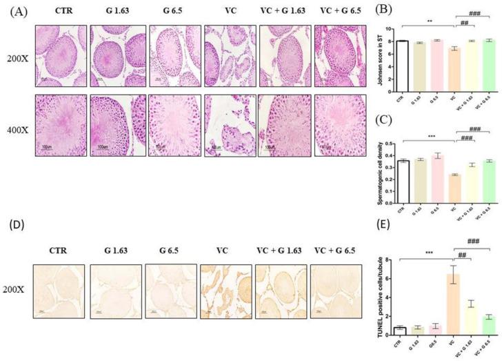 https://cdn.ncbi.nlm.nih.gov/pmc/blobs/cd03/7730328/12750dc8050b/ijms-21-09231-g001.jpg