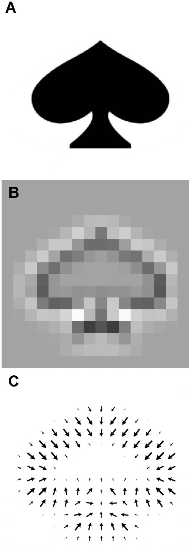 https://cdn.ncbi.nlm.nih.gov/pmc/blobs/cd05/3522670/5238d392fadc/pone.0049733.g003.jpg