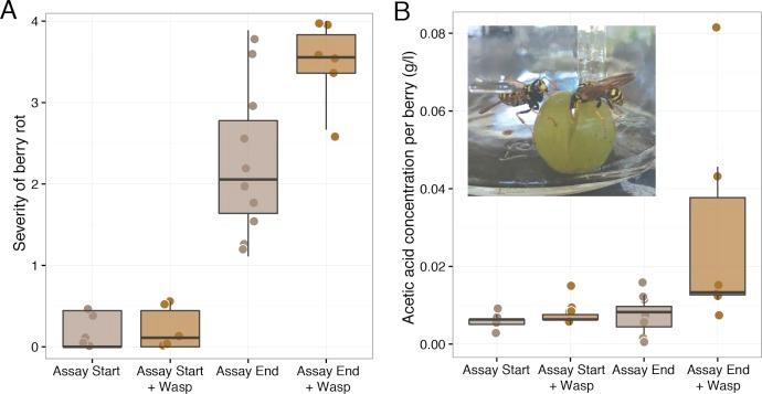 https://cdn.ncbi.nlm.nih.gov/pmc/blobs/cd05/5408719/17c6b5400f67/peerj-05-3223-g002.jpg