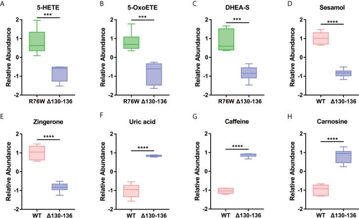 https://cdn.ncbi.nlm.nih.gov/pmc/blobs/cd05/8169970/7fd7571c6036/fendo-12-649994-g007.jpg
