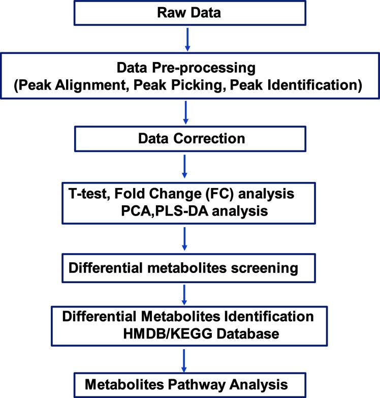 https://cdn.ncbi.nlm.nih.gov/pmc/blobs/cd05/8169970/d7a10765a71e/fendo-12-649994-g001.jpg