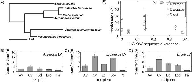 https://cdn.ncbi.nlm.nih.gov/pmc/blobs/cd06/5562762/df6f36efc755/41598_2017_7447_Fig4_HTML.jpg