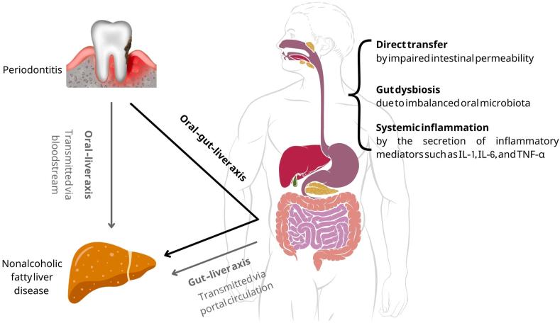 https://cdn.ncbi.nlm.nih.gov/pmc/blobs/cd07/10316499/c23d8ecebc5d/gr1.jpg