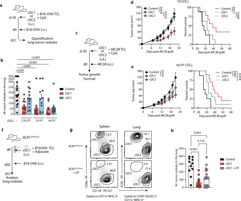 https://cdn.ncbi.nlm.nih.gov/pmc/blobs/cd08/11982544/01d80c0e50d6/41467_2025_58289_Fig3_HTML.jpg