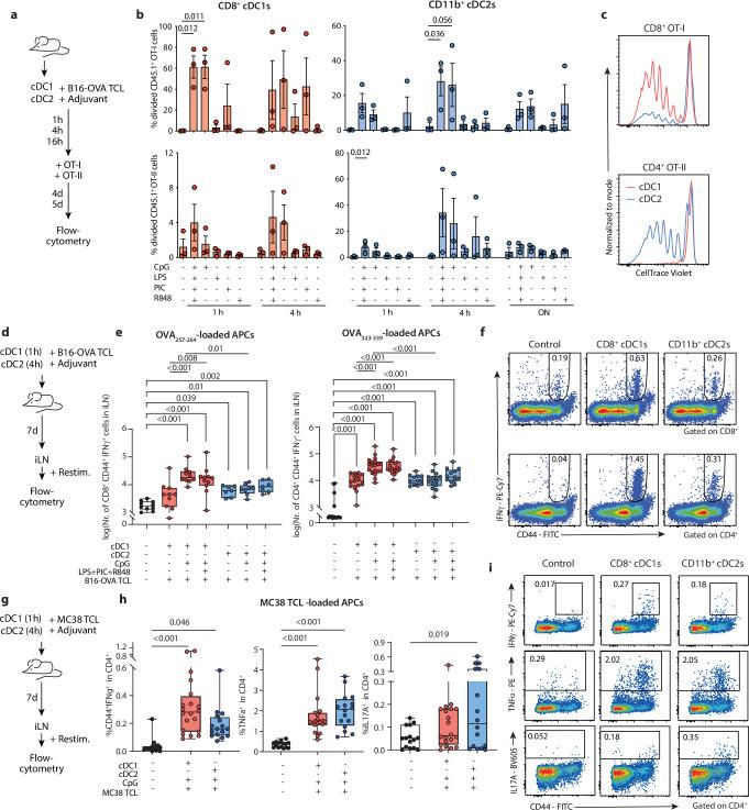 https://cdn.ncbi.nlm.nih.gov/pmc/blobs/cd08/11982544/0fa3864d8337/41467_2025_58289_Fig1_HTML.jpg