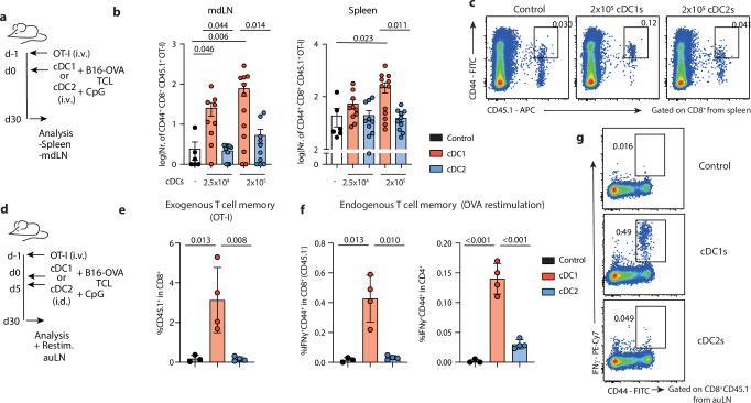 https://cdn.ncbi.nlm.nih.gov/pmc/blobs/cd08/11982544/2985dec555df/41467_2025_58289_Fig4_HTML.jpg