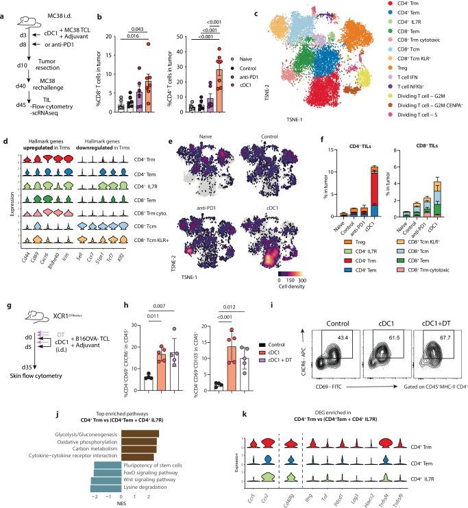 https://cdn.ncbi.nlm.nih.gov/pmc/blobs/cd08/11982544/30cc85523bb3/41467_2025_58289_Fig6_HTML.jpg