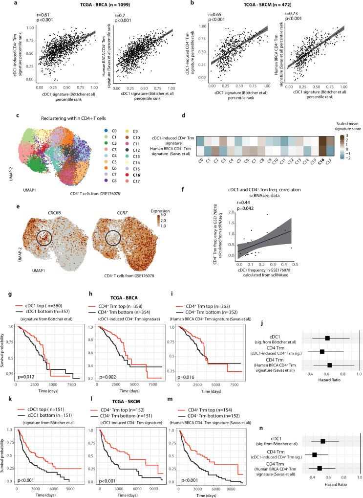 https://cdn.ncbi.nlm.nih.gov/pmc/blobs/cd08/11982544/3606c5bbb226/41467_2025_58289_Fig7_HTML.jpg