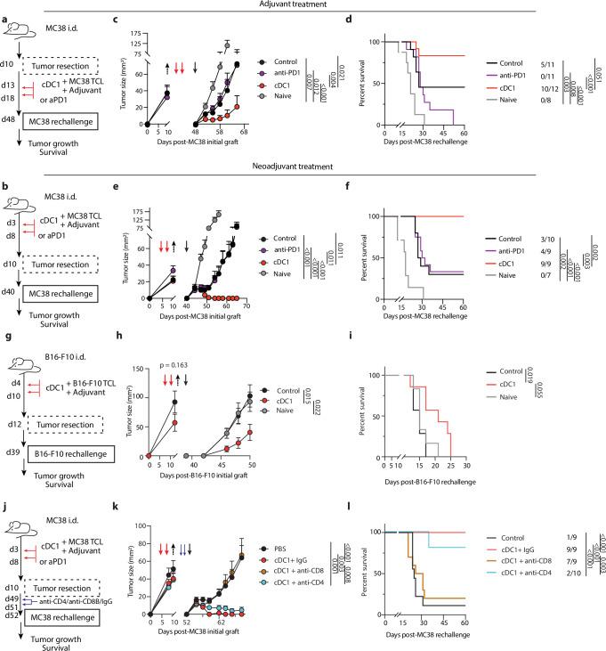 https://cdn.ncbi.nlm.nih.gov/pmc/blobs/cd08/11982544/6208fade433d/41467_2025_58289_Fig5_HTML.jpg
