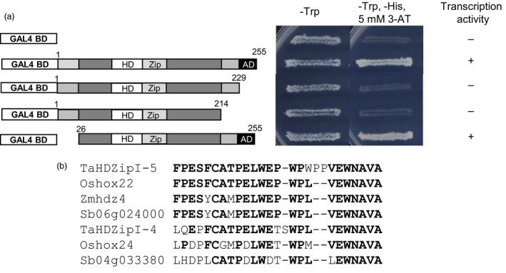https://cdn.ncbi.nlm.nih.gov/pmc/blobs/cd09/11388566/966b477742f1/PBI-16-1227-g008.jpg