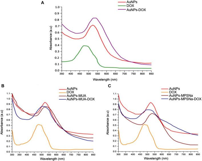 https://cdn.ncbi.nlm.nih.gov/pmc/blobs/cd0b/11082400/48bc65e66cf8/fbioe-12-1378601-g004.jpg