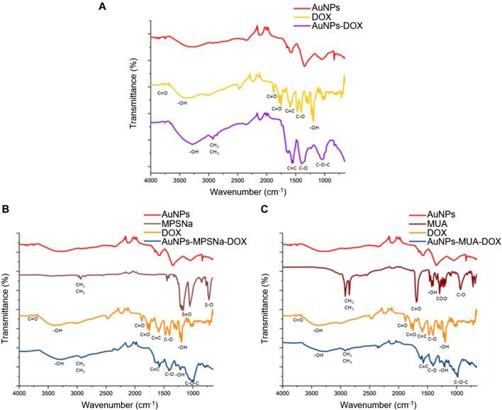 https://cdn.ncbi.nlm.nih.gov/pmc/blobs/cd0b/11082400/f718c27bb20d/fbioe-12-1378601-g007.jpg
