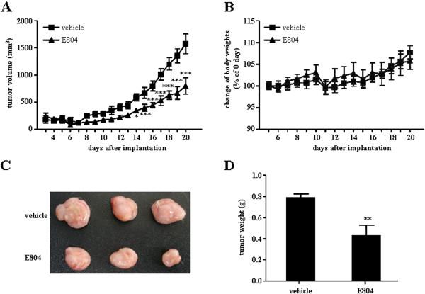 https://cdn.ncbi.nlm.nih.gov/pmc/blobs/cd0c/3488320/80f4ccb31c67/1471-2407-12-164-4.jpg