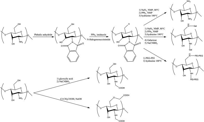 https://cdn.ncbi.nlm.nih.gov/pmc/blobs/cd0c/7103275/3397643c576d/gr4_lrg.jpg