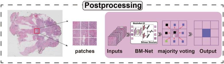 https://cdn.ncbi.nlm.nih.gov/pmc/blobs/cd0c/9220285/4142a86fde41/bioengineering-09-00261-g003.jpg